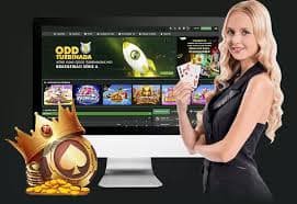 Privacy and account safety guidance shown beside Dragon Kingdom content on 1 bat